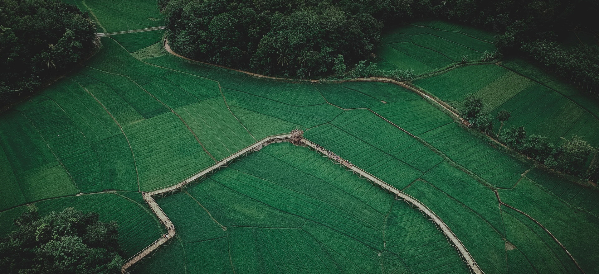 Conectando o Mundo com Soluções Agrícolas de elevada Qualidade